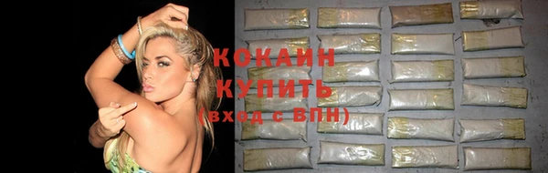 мдпв Михайлов