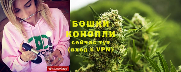 мдпв Михайлов
