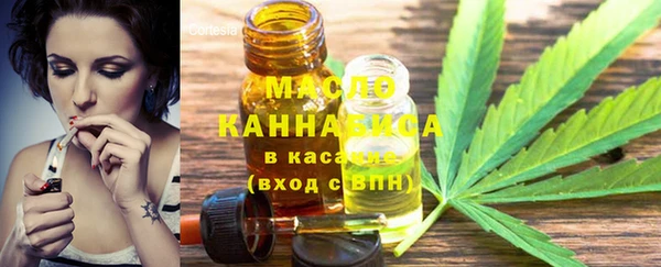 мдпв Михайлов