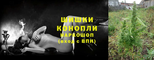 мдпв Михайлов