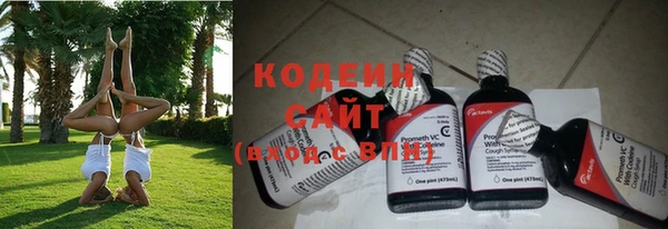 мдпв Михайлов