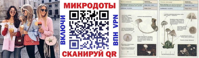 Псилоцибиновые грибы мухоморы Кондопога